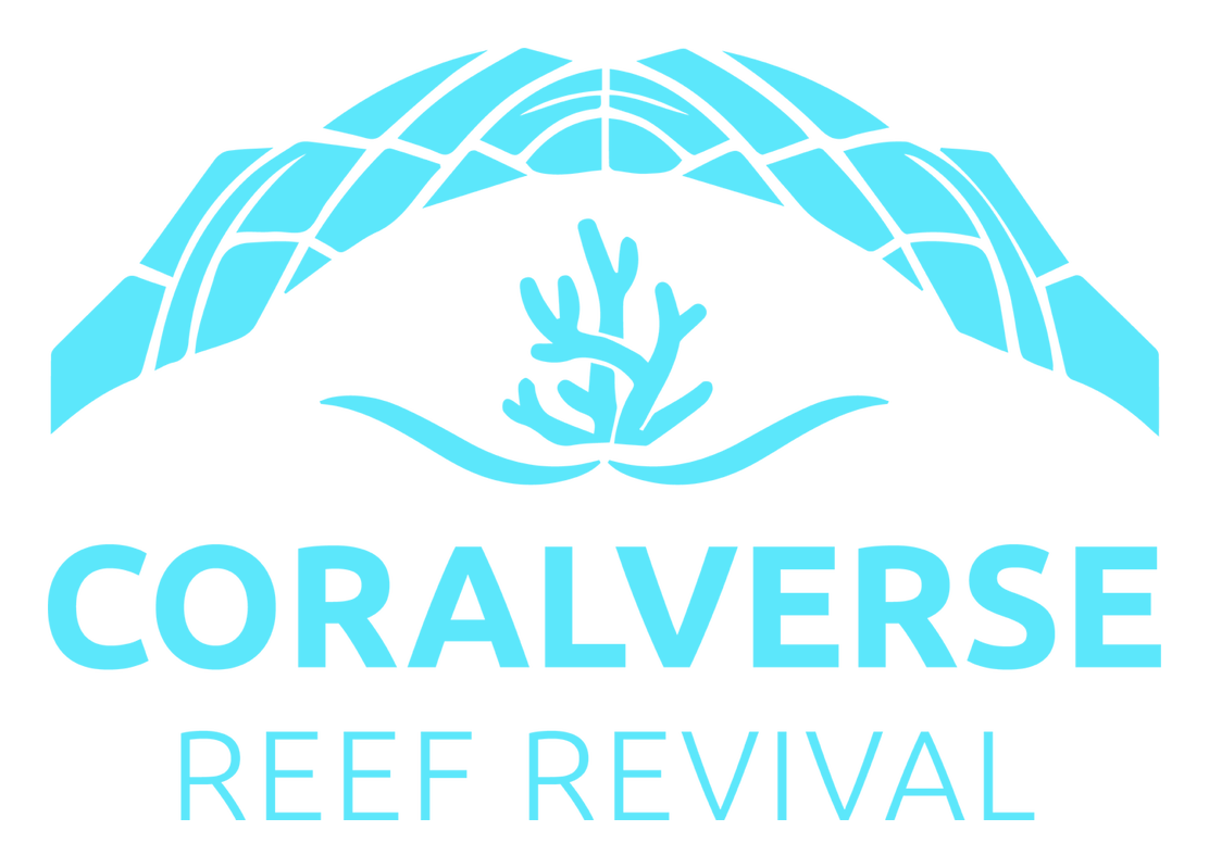 Coralverse — Reef Revival